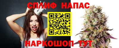 твердый Кингисепп