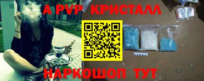 твердый Кингисепп