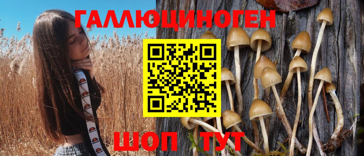 Кубинка  Галлюциногенные грибы MAGIC MUSHROOMS  Вход с VPN 